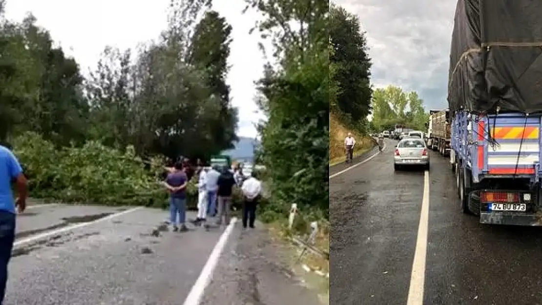 Fırtınada ağaç devrildi, yol kapandı