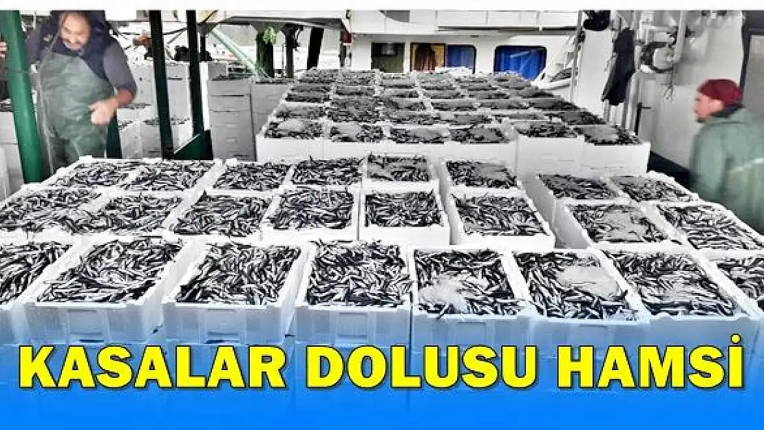 Fırtınanın ardından hamsi bereketi
