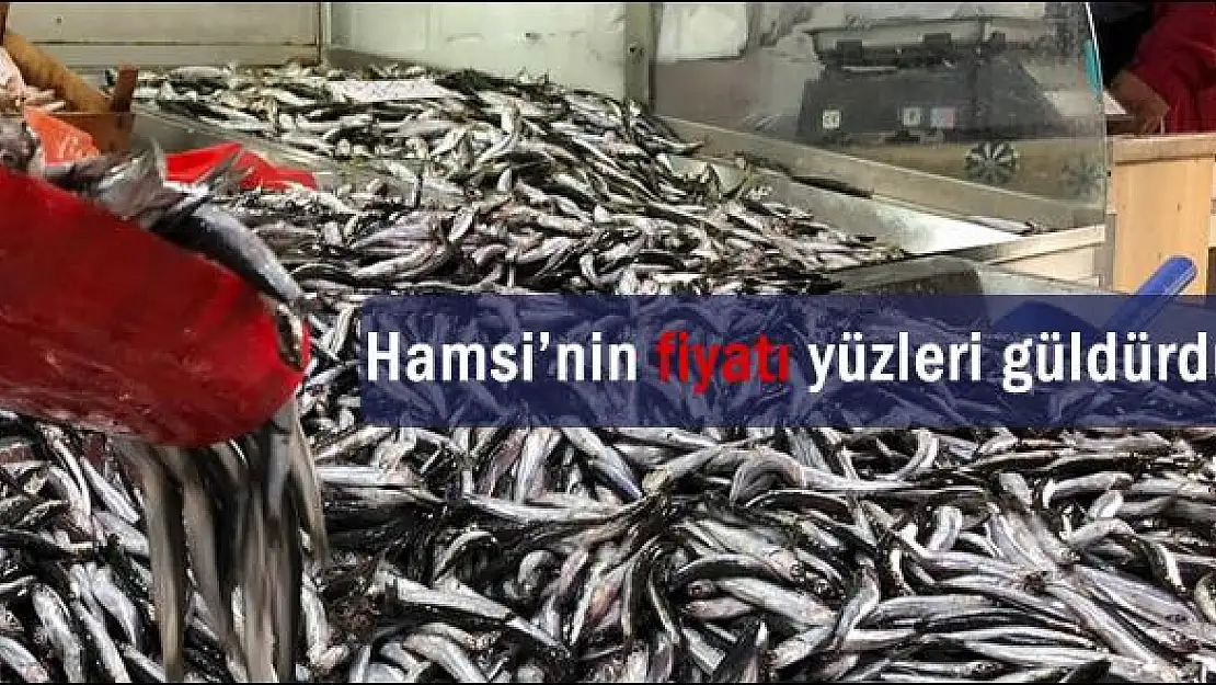 Gel vatandaş, hamsiye gel