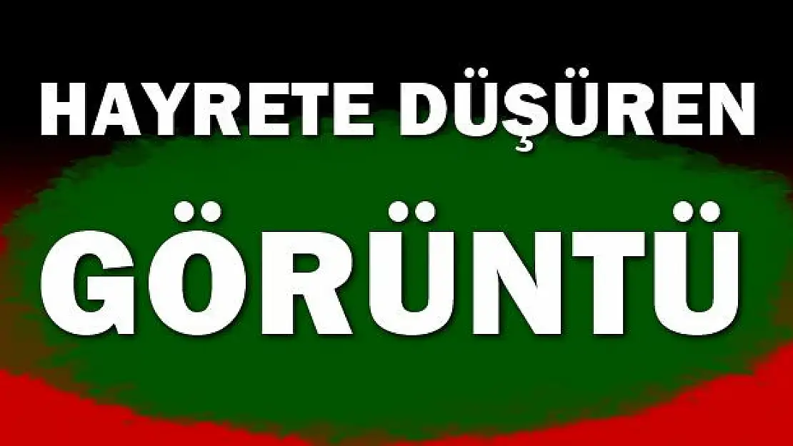 Görenler hayretler içinde kaldı