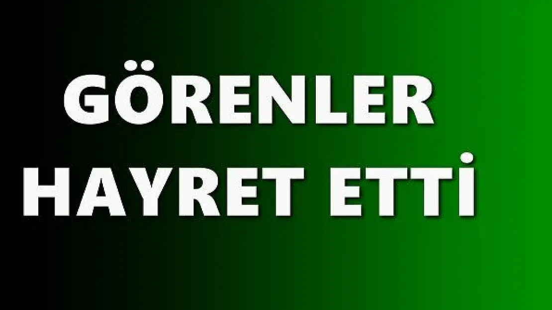 Görünce şok şaşıracaksınız