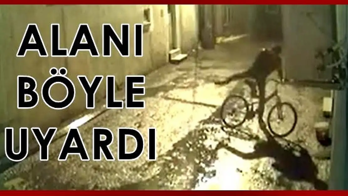 Görüntüleri yayınladı, mesaj gönderdi!