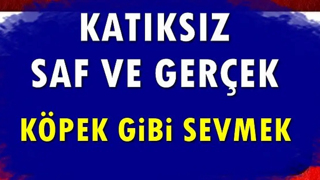 Günün en çok izlenen görüntüsü