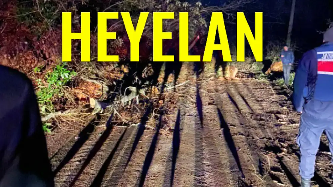 Güzelcehisar'da heyelan!