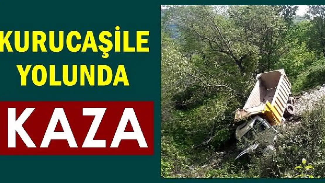 Hafriyat kamyonu şarampole devrildi