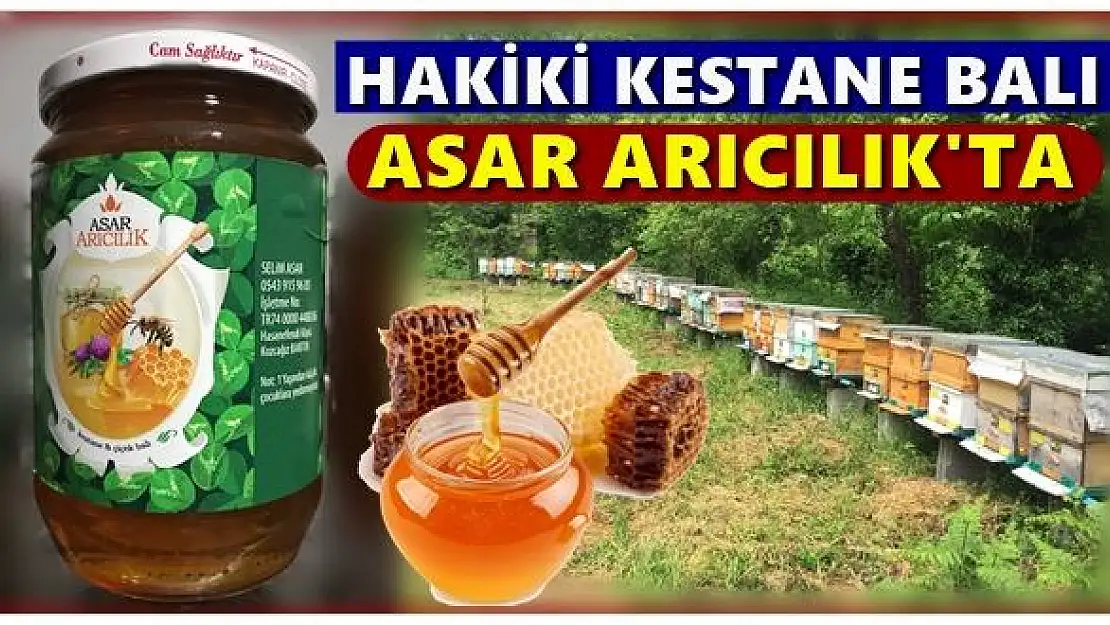 Hakiki kestane balı ve propolis Asar Arıcılık'ta