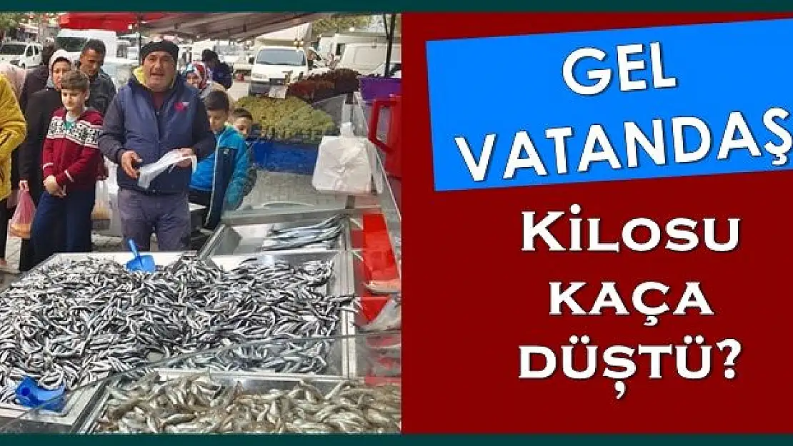 Hamsi bolluğu yüzleri güldürüyor