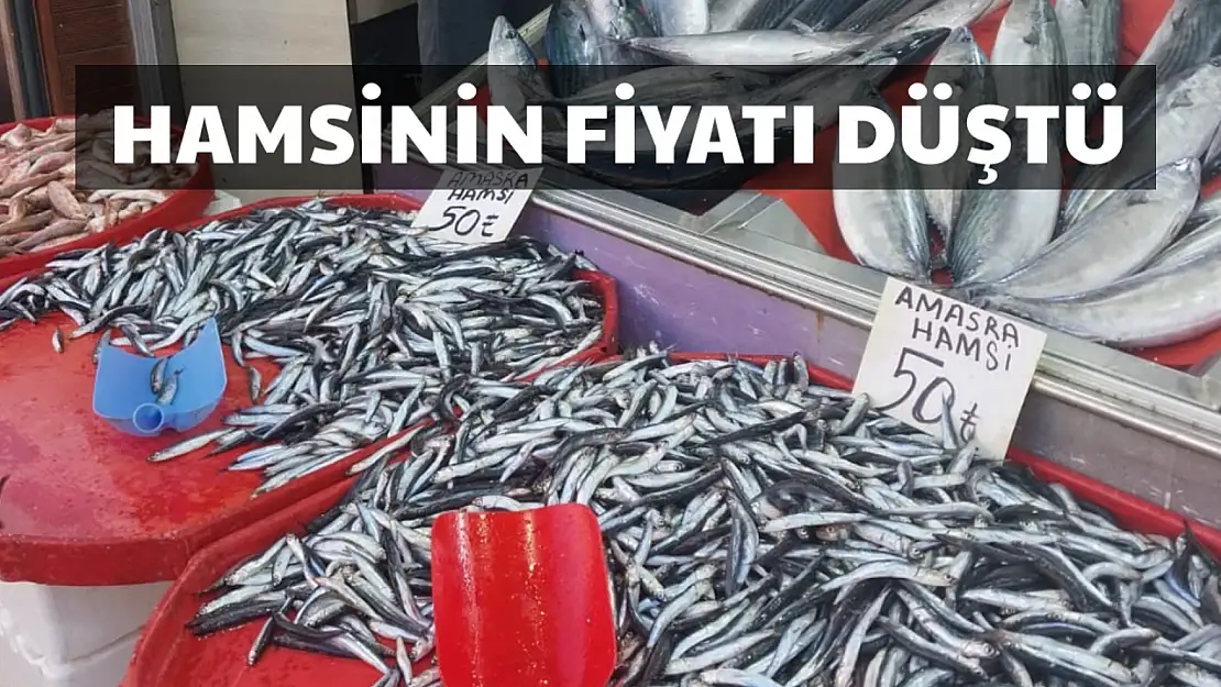 Hamsi fiyatıyla yüzleri güldürdü