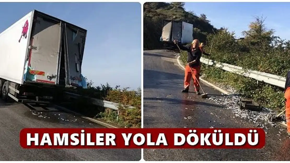 Hamsiler yola saçıldı