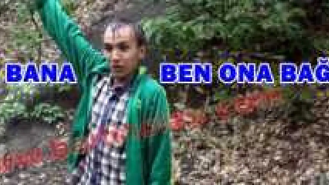 HASANKADI'DA AYI PANİĞİ