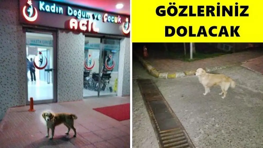 Hastane kapısında böyle vefa görülmedi