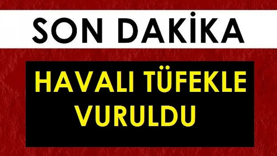 Havalı tüfekle vurulan genç yoğun bakımda
