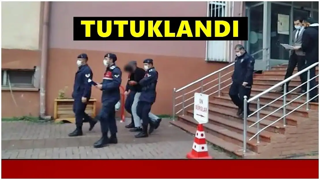 Hayvan hırsızlığı, 1 şüpheli tutuklandı