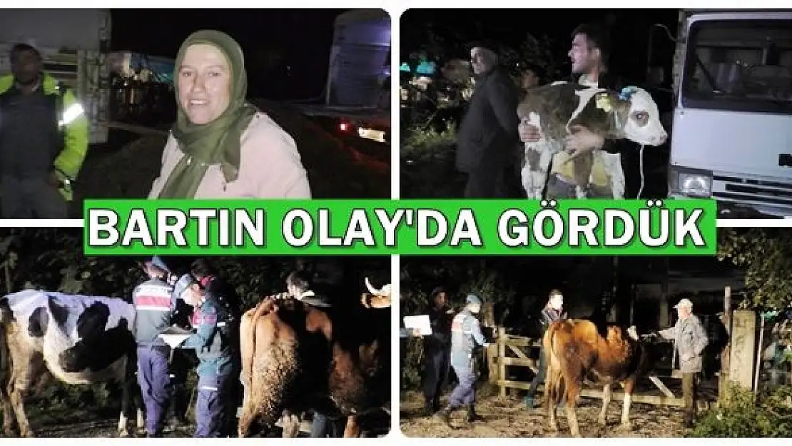 Hayvanlarına Kavuşmanın Sevincini Yaşadılar