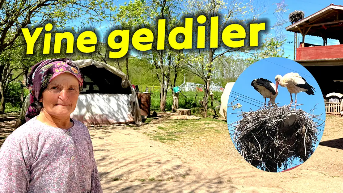 Her yıl yolunu gözlüyorlar