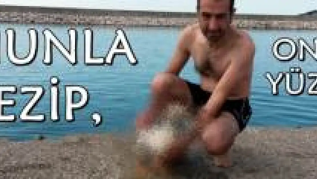 Herkes, kedi köpek besler o ise...