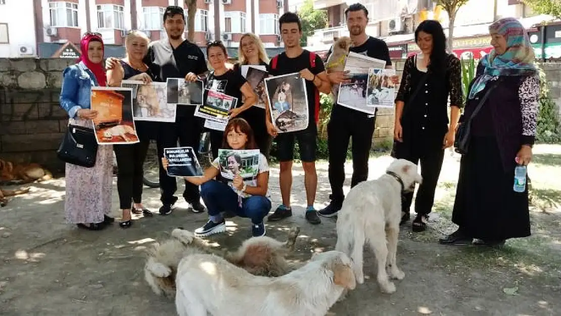 Hiç bir hayvan kaderine terk edilemez