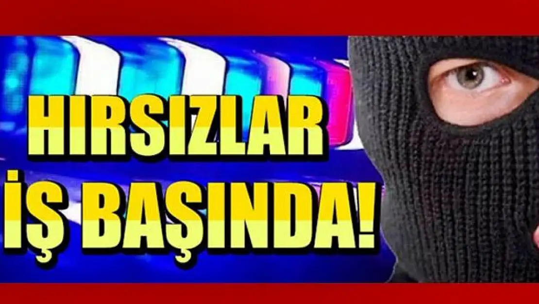 Hırsızlar iş başında!