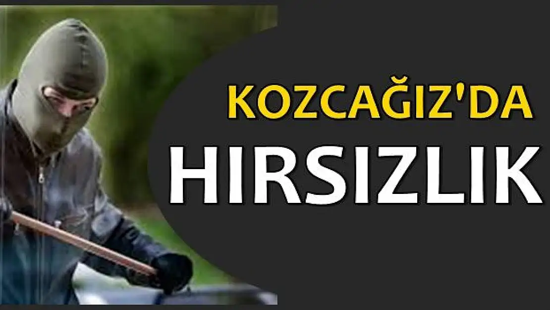 Hırsızlar kapıyı kırıp içeri girdi
