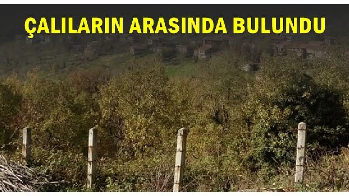 İçinden bakın ne çıktı?