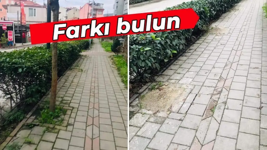 İki fotoğraf arasındaki farkı bulun