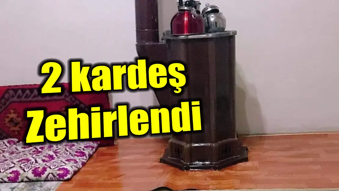 İki kardeş hastaneye kaldırıldı