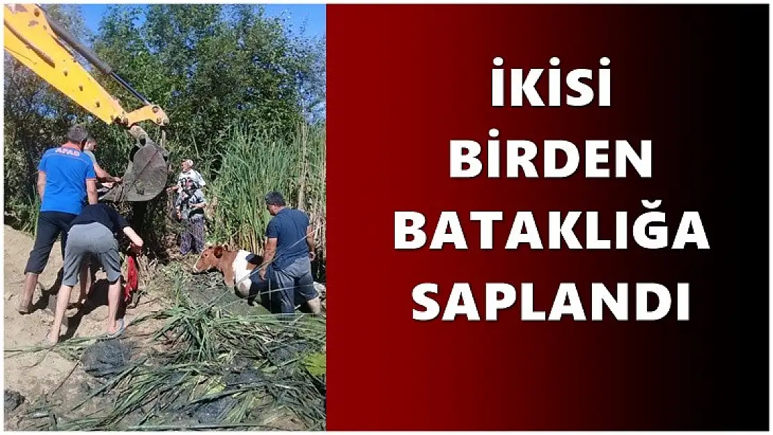 İkisi birden bataklığa saplandı