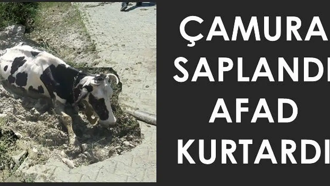 İmdadına AFAD yetişti