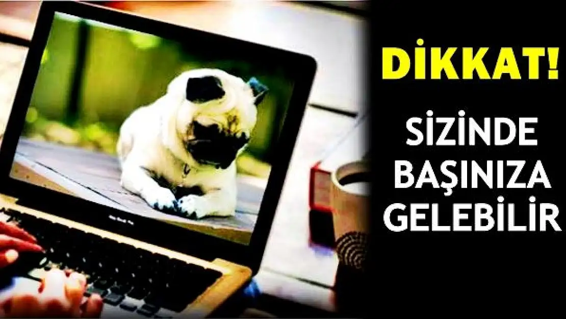 İnternetten laptop ve köpek almak isteyince dolandırıldılar