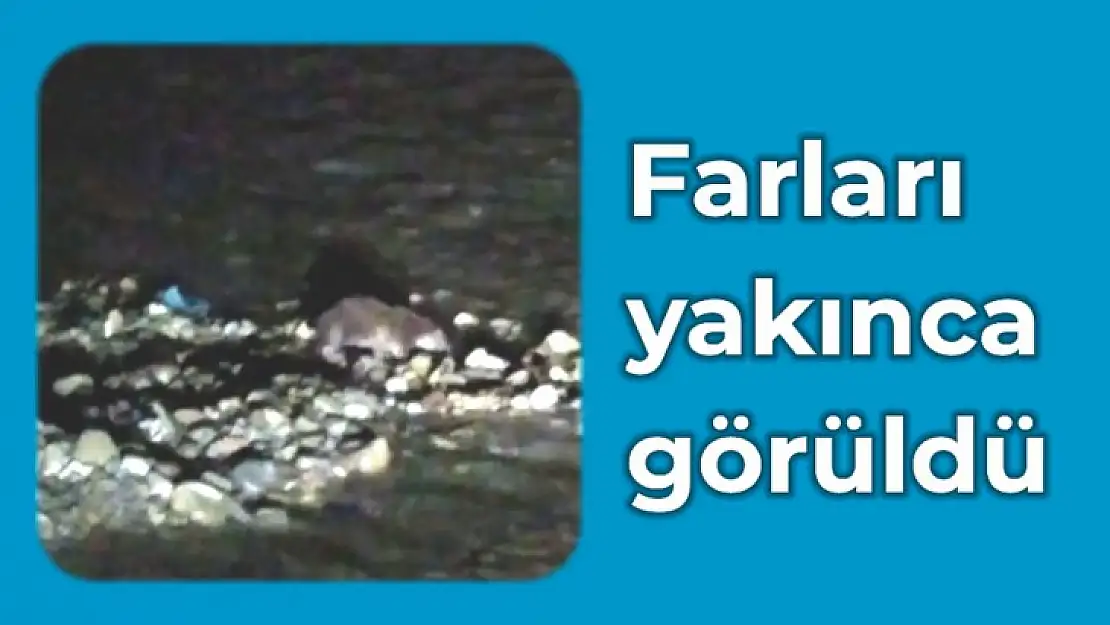 Irmak kenarında kameraya yakalandı