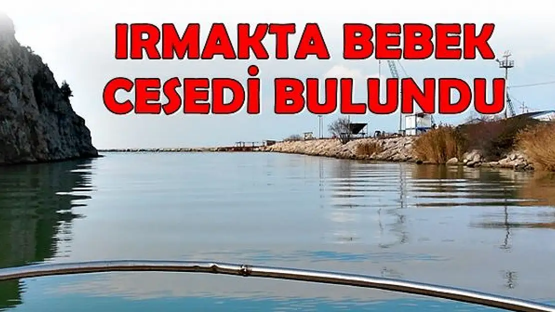  Irmakta yeni doğmuş bebek cesedi bulundu