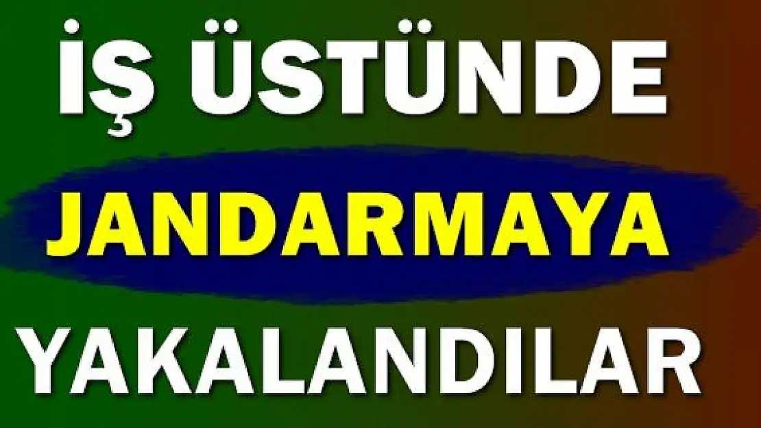 İş üstünde jandarmaya yakalandılar