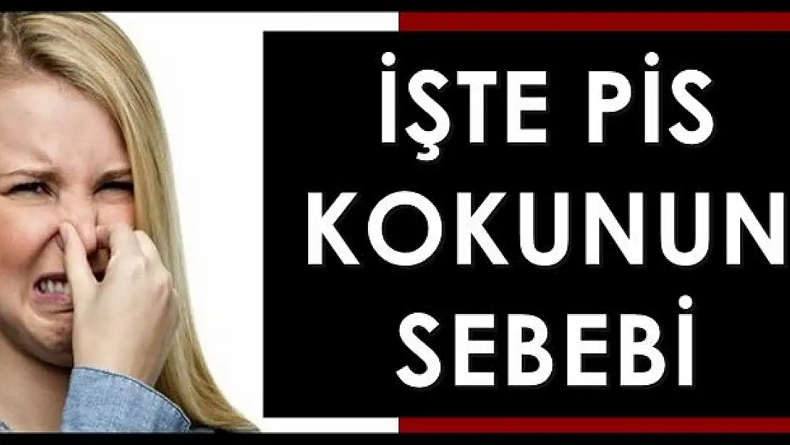 İşte Bartın'daki pis kokunun sebebi