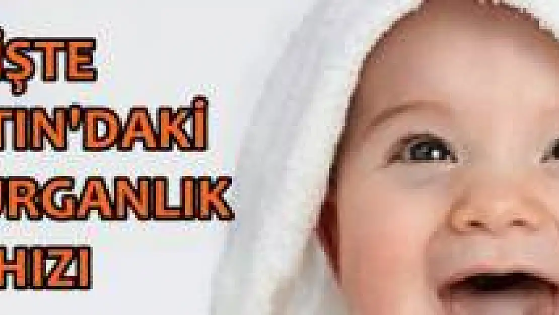 İşte Türkiye'nin doğurganlık hızı araştırması