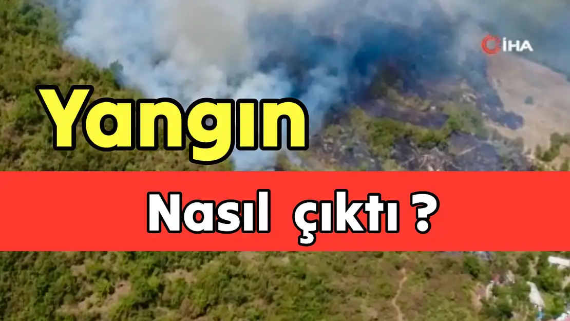 İşte yangının çıkış nedeni