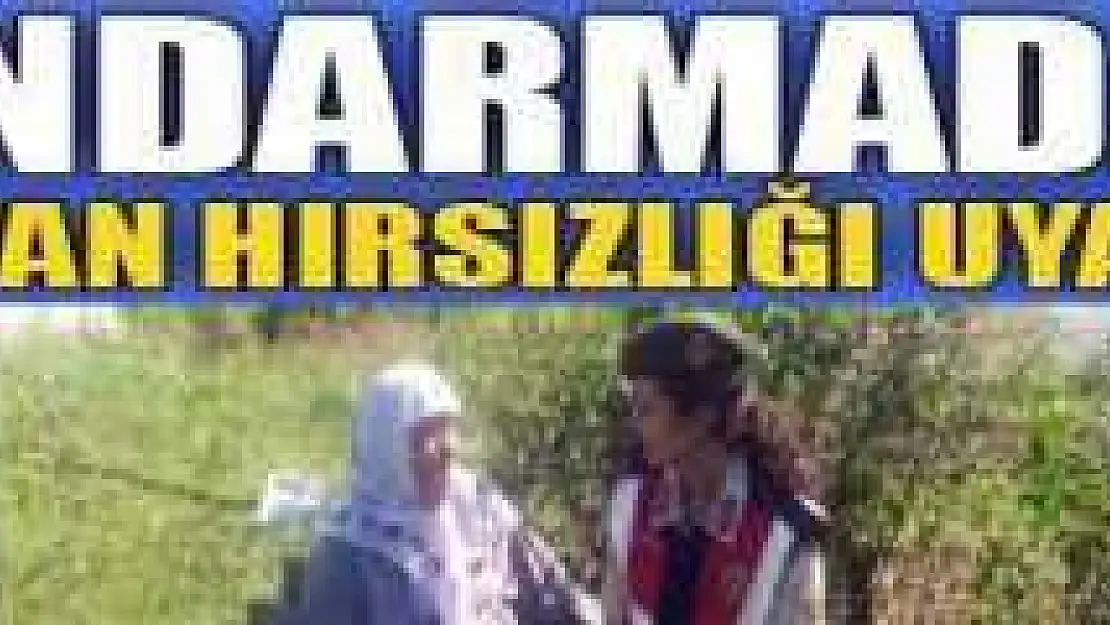JANDARMA, HAYVAN HIRSIZLIĞINA DİKKAT ÇEKTİ