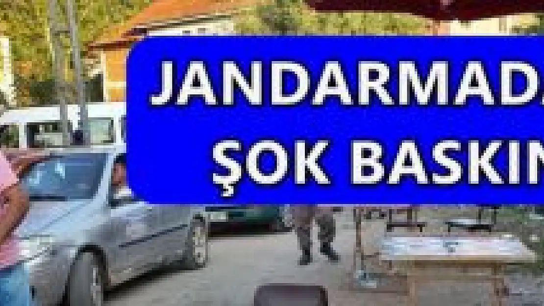 Jandarmadan 'kumar' baskını