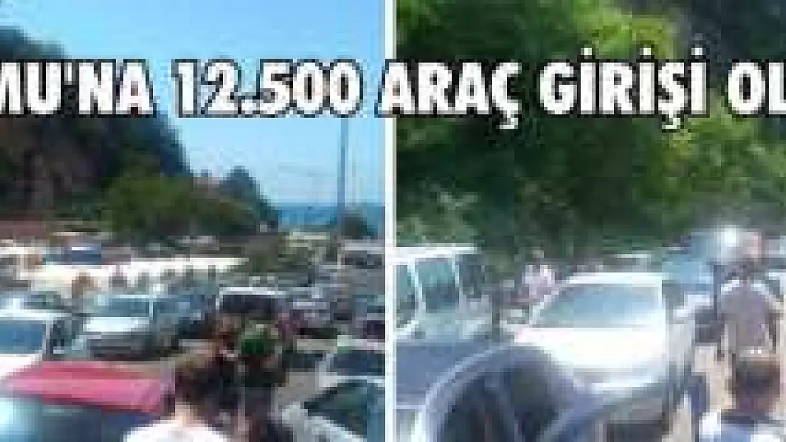JANDARMADAN BAYRAMDA YOĞUN TRAFİK MESAİSİ