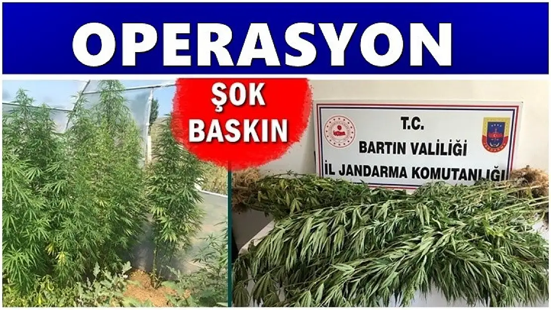 Jandarmadan büyük çaplı operasyon