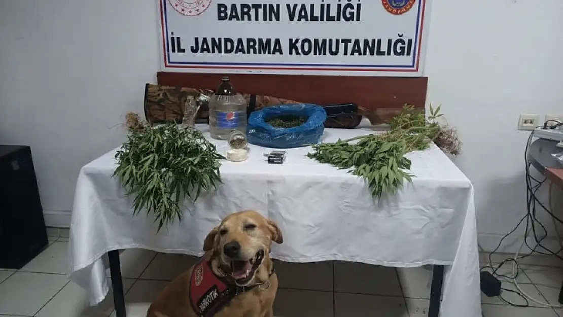 Jandarmadan uyuşturucu baskını