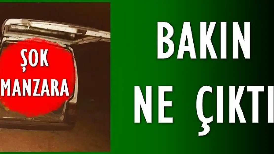 Jandarmanın durdurduğu minibüste şok manzara 