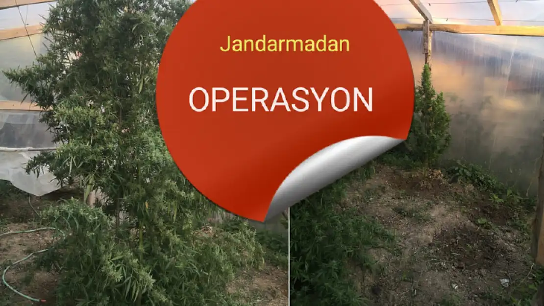 Jandarmaya yakalandı