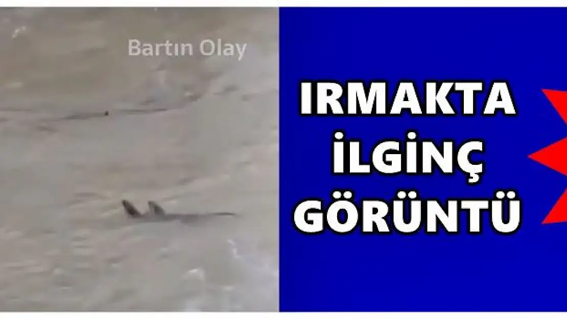 Kameraya yakalandılar