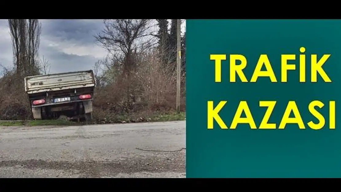 Kamyonet şarampole devrildi