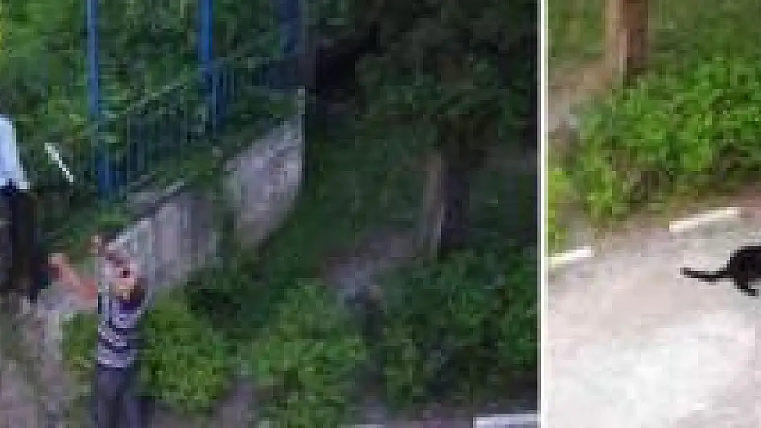 Kanala düşen köpek 2 gün sonra kurtarıldı