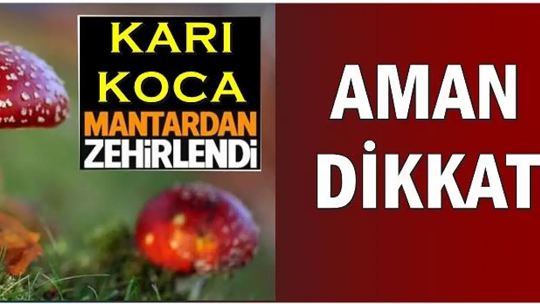 Karı Koca Mantardan Zehirlendi
