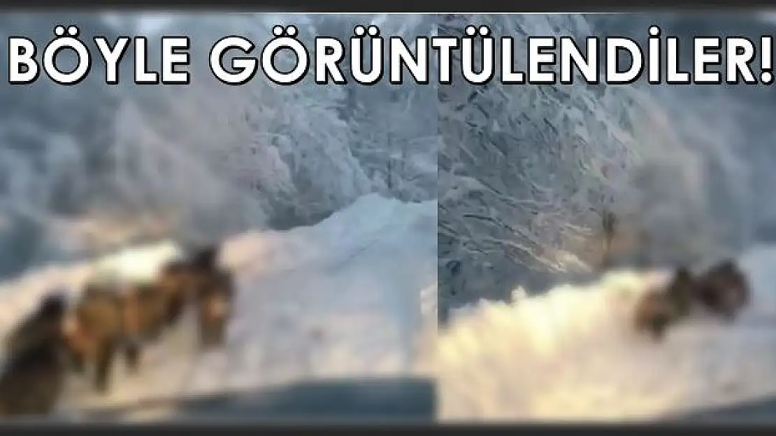 Karla kaplı yolda önüne çıktılar