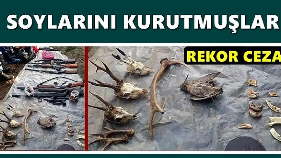 Katliam yapmışlar, faturası çok ağır oldu