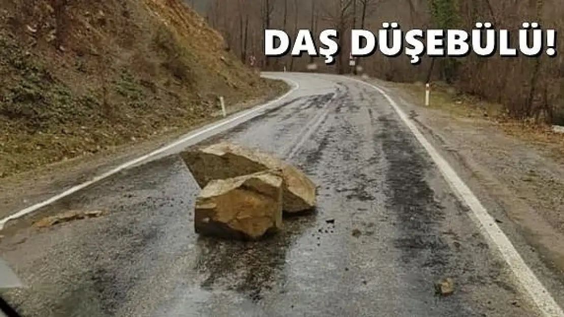 Kaya parçaları yola düştü