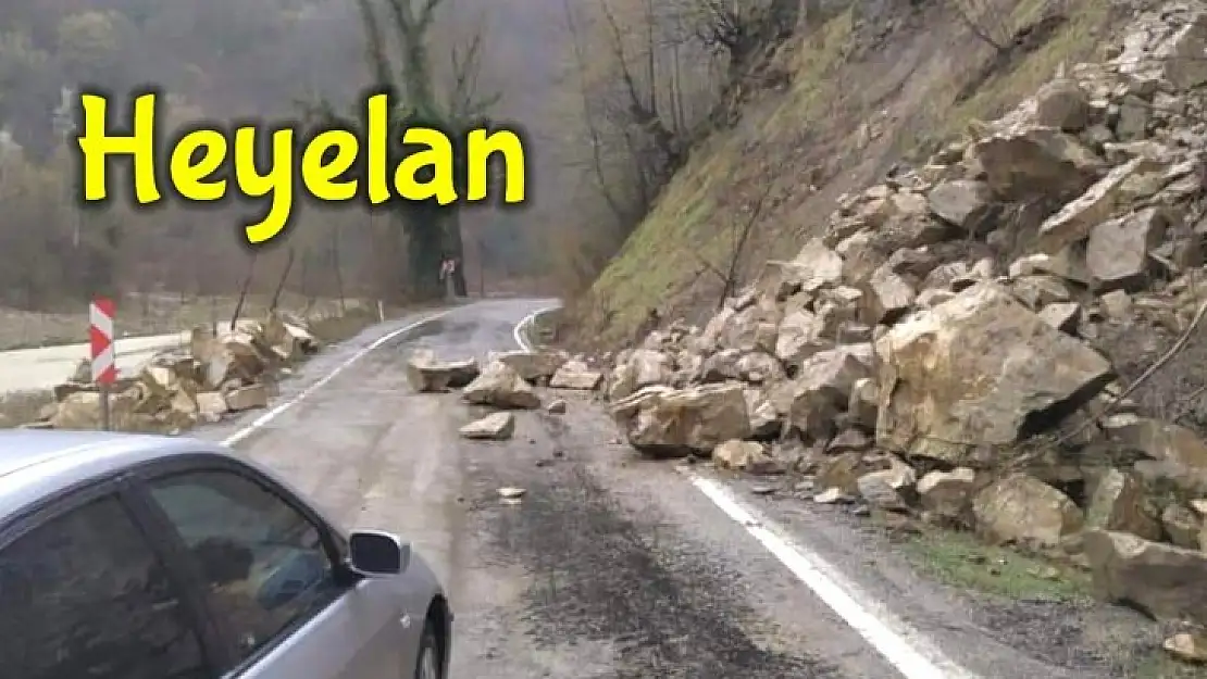 Kaya parçaları yola düştü